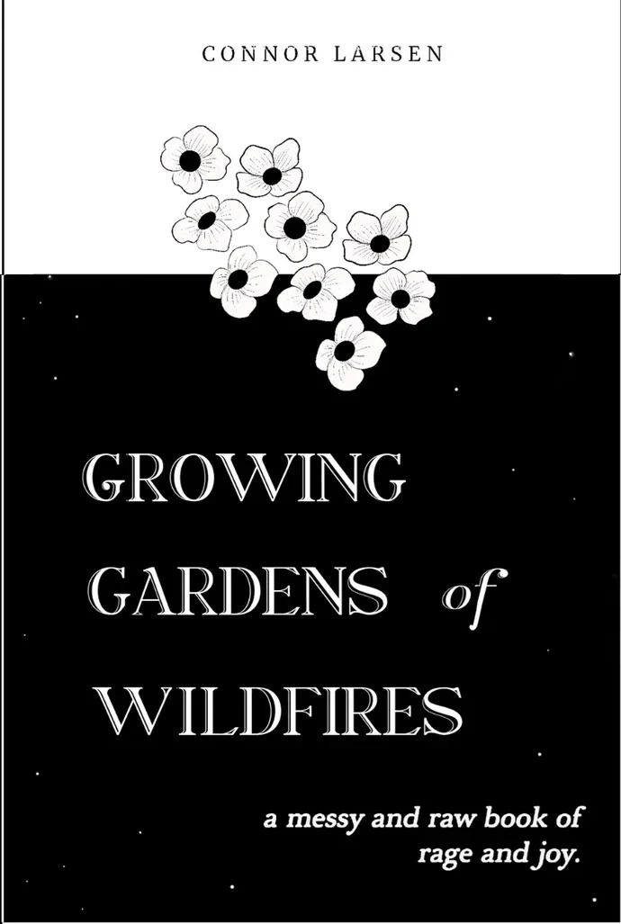 Featured book cover 36